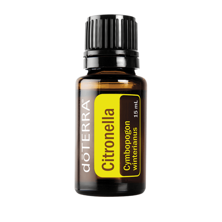 Citronella Oil Cymbopogon winterianus Self Balance Massage