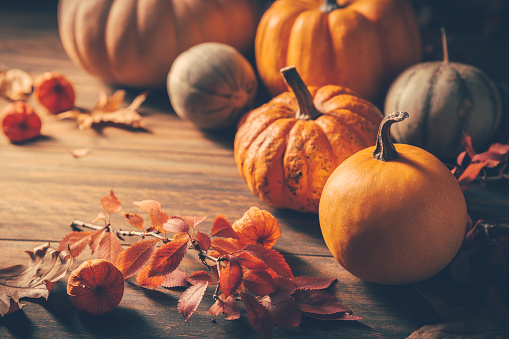 Pumpkins for Thanksgiving on wooden background